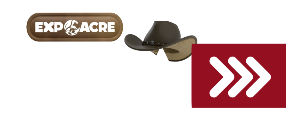 Logo Branca